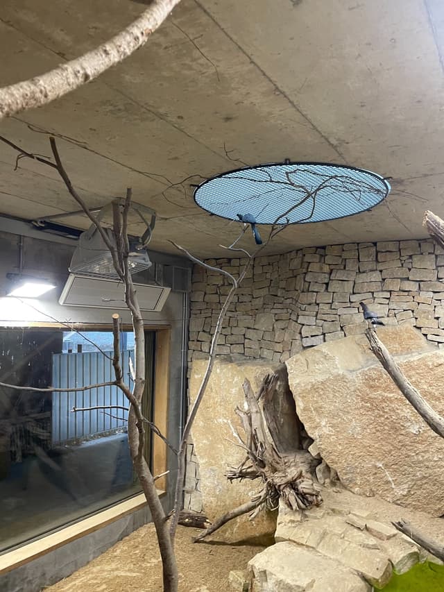 Elektroinstalace pavilonu v ZOO Lešná — detail realizace